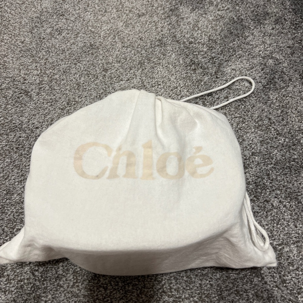Chloe Nile bracelet bag
